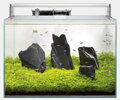 SUPERFISH SCAPER 45