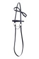 Hobby Horse