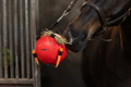 Maximus Fun Play Ball Red