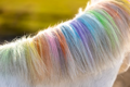 Duhová křída Lucky Horse Unicorn 6ks