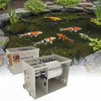 Pond filtration