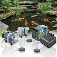 Oxygen for the pond