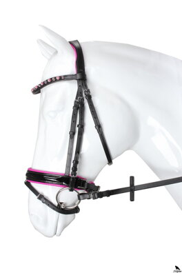 BRIDLE FLAMINGO
