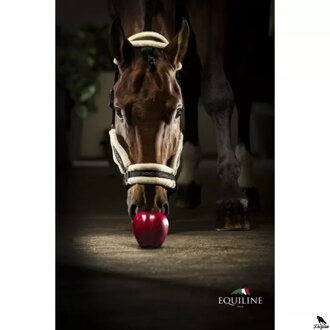Equiline Tom Ecowool full