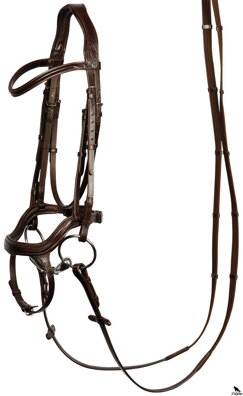 Bridle Anatomic hnedá
