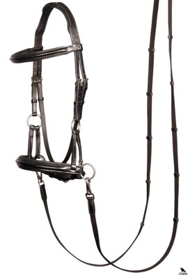 Bitless bridle, Sidepull
