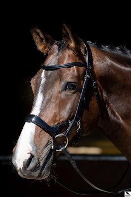 Bridle Release černa