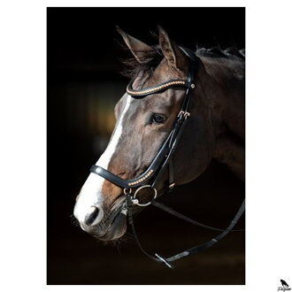 Bridle Rosegold anatomic