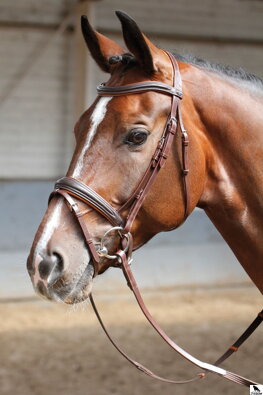 Bridle Soft hnedá