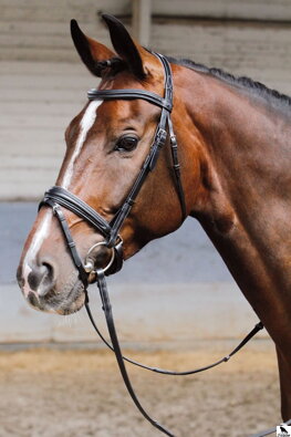 Bridle Soft černa