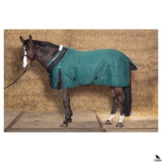 Stable rug Highliner 200 zelená