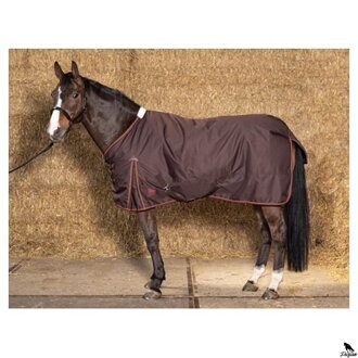 Turnout rug Thor 100