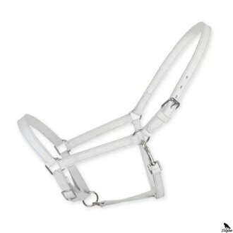 Chrome Halter PONY