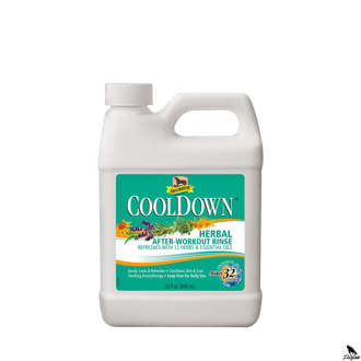 Absorbine Cool down, kanyster 946 ml