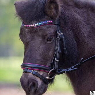 Pinky Star Pony Bridle