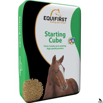 EquiFirst Starting cube 20kg