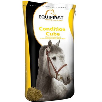 EquiFirst condition cube 20kg