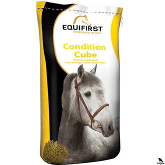 EquiFirst condition cube 20kg