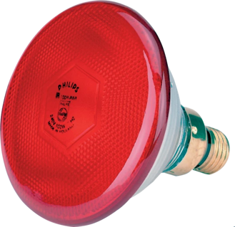 Infračervená úsporná zářivka 170 W červená Philips
