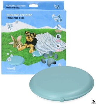Chladící ledový disk