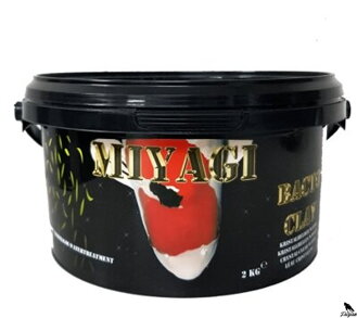 Miyagi Bacto Clay 2kg