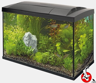 SUPERFISH START 70 TROPICKÁ SÚPRAVA černé
