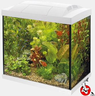 SUPERFISH START 30 TROPICKÁ SOUPRAVA BÍLÝ