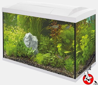 SUPERFISH START 70 TROPICKÁ SÚPRAVA BÍLÁ