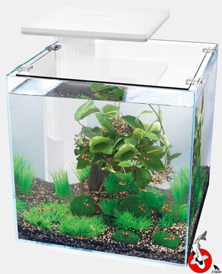 SUPERFISH QUBIQ 30 PRO bílé