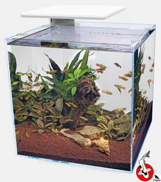 SUPERFISH QUBIQ 60 PRO bílé