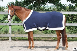 Anti-pilling fleece 