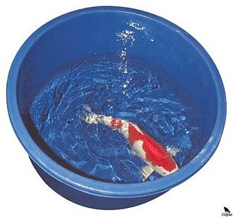 SuperFish POND KOI PRO Nadrž 80 CM