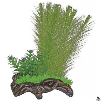 Nano Wood garden 2