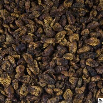 Larvy bource morušového 1L