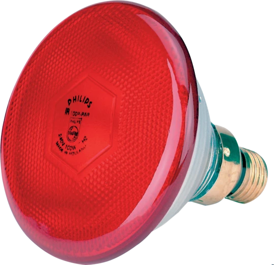 Infračervená úsporná zářivka 170 W červená Philips