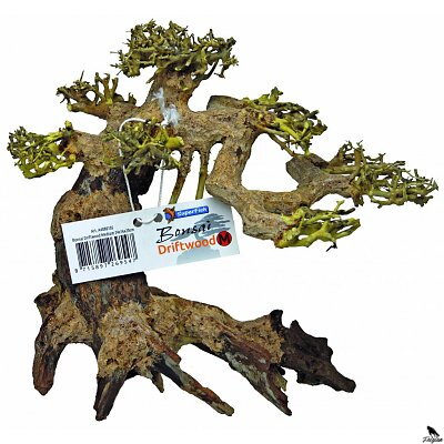 BONSAI DRIFTWOOD MEDIUM