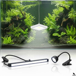 Rasvjeta za akvarij