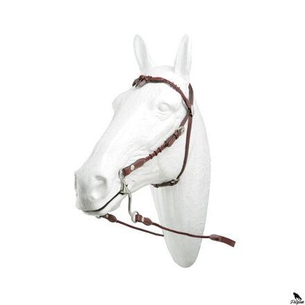 HH WACO TEXAN BRIDLE