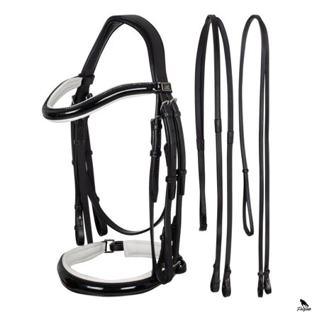 UZDA DRESSAGE 