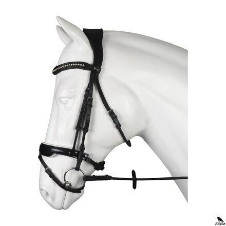 BRIDLE FAVORIT