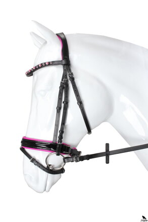 BRIDLE FLAMINGO