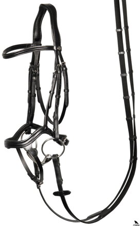 Uzda Anatomic černa