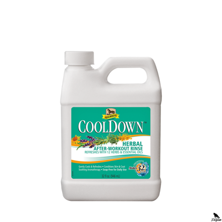 Absorbine Cool down, kanyster 946 ml