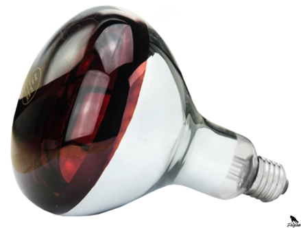 Infračervená lampa 150 W červená Tvrzené sklo