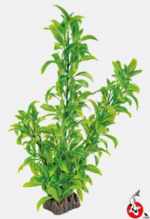 ART ROSTLINA 40CM DRACAENA