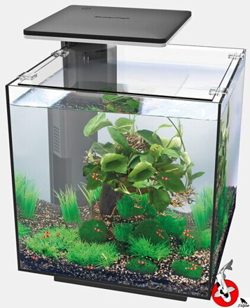 SUPERFISH QUBIQ 30 PRO černé