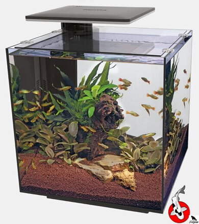 SUPERFISH QUBIQ 60 PRO Černé