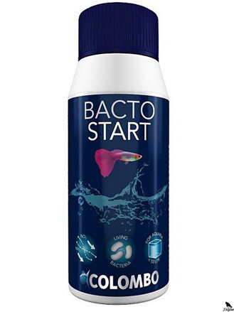 Colombo COLOMBO BACTO START 100ML (100L)