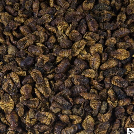 Larvy bource morušového 1L