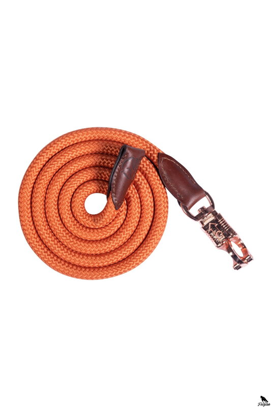 Lead rope -Edinburgh-